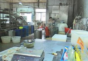 “持證”生產(chǎn)亂象 豆制品廠驚現(xiàn)“蘄艾蛆蟲(chóng)”？監(jiān)管與自律的警示